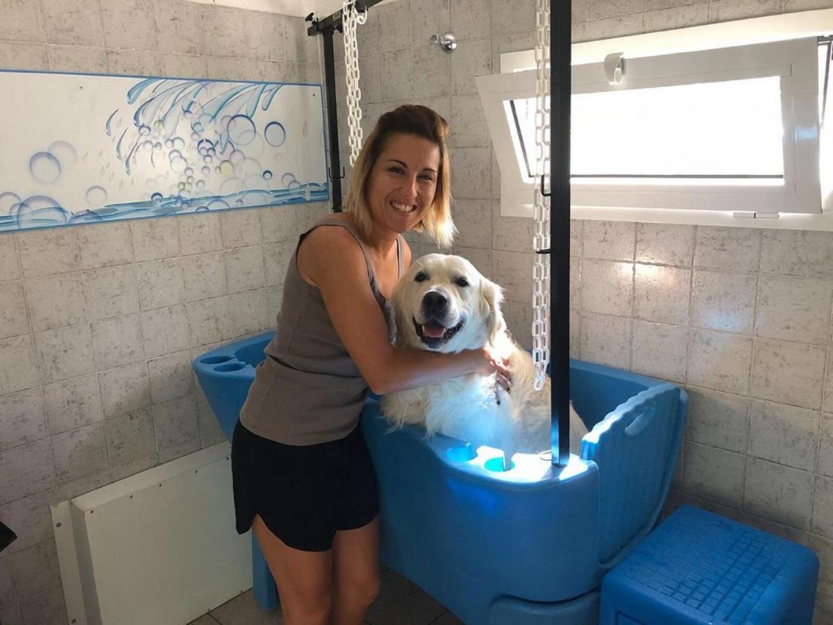 Adriacamp Mobile Homes Rosepineta Розапинета Екстериор снимка